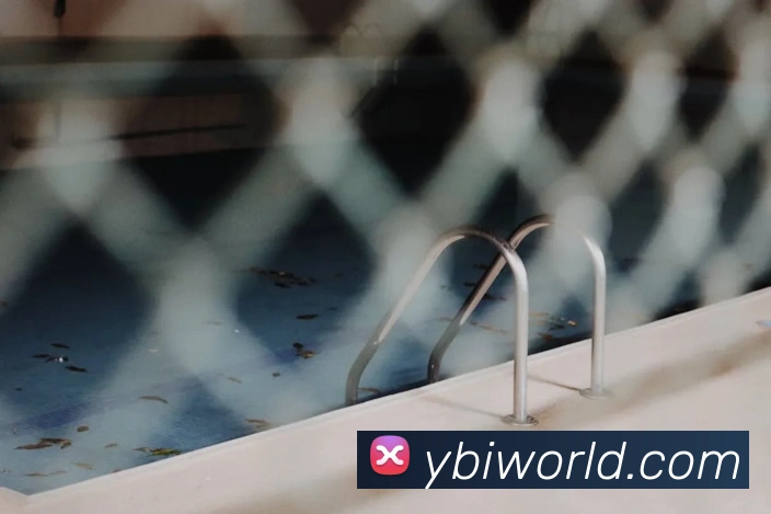 奖项证书
